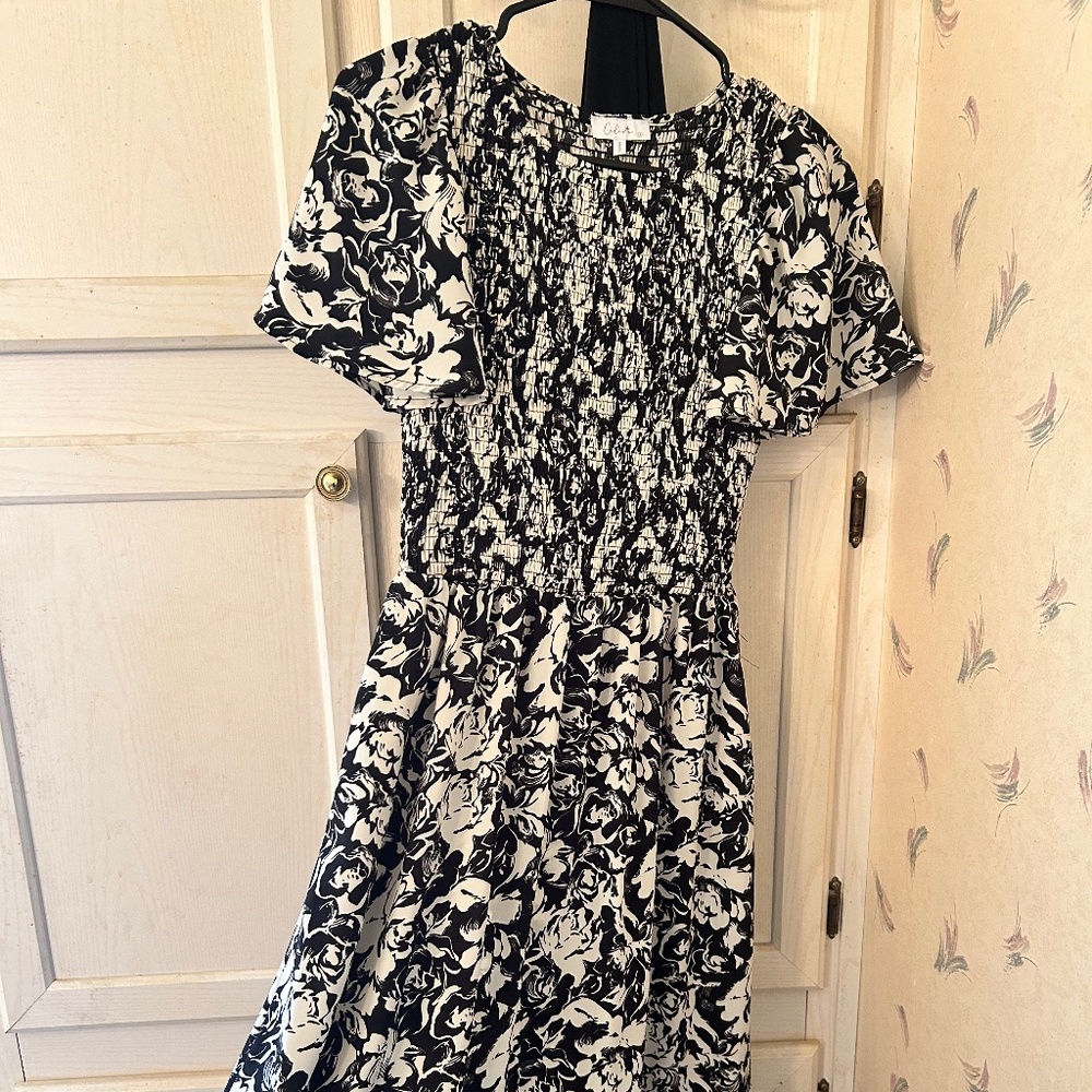 Slaydon and rose dress